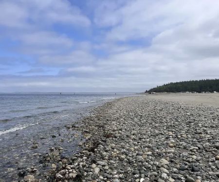 Lower Camp Area