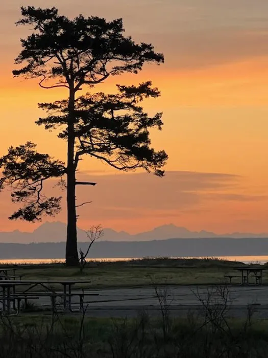 Fort Worden State Park Beach Campground Picture 4