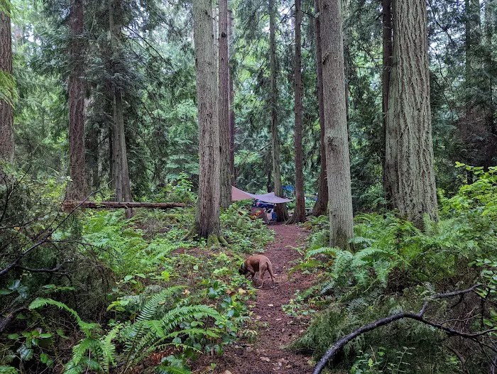 Fort Flagler Upper Campground Picture 1