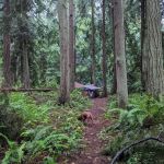 Fort Flagler Upper Campground
