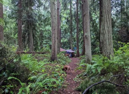 Fort Flagler Upper Campground