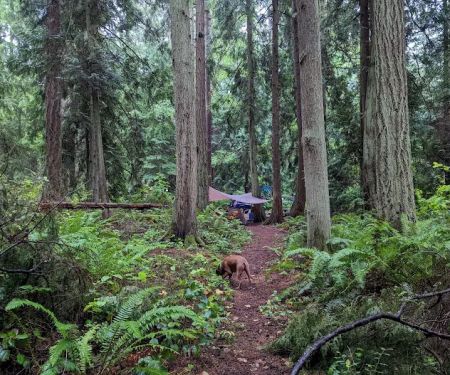Fort Flagler Upper Campground