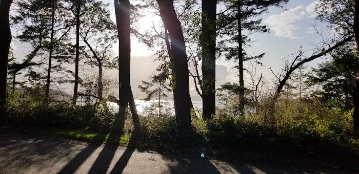 Fort Flagler Upper Campground Picture 10