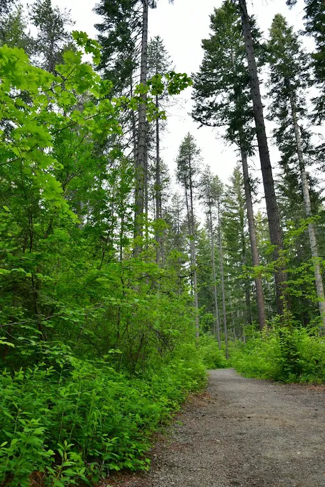 Lake Easton State Park Campground Picture 4