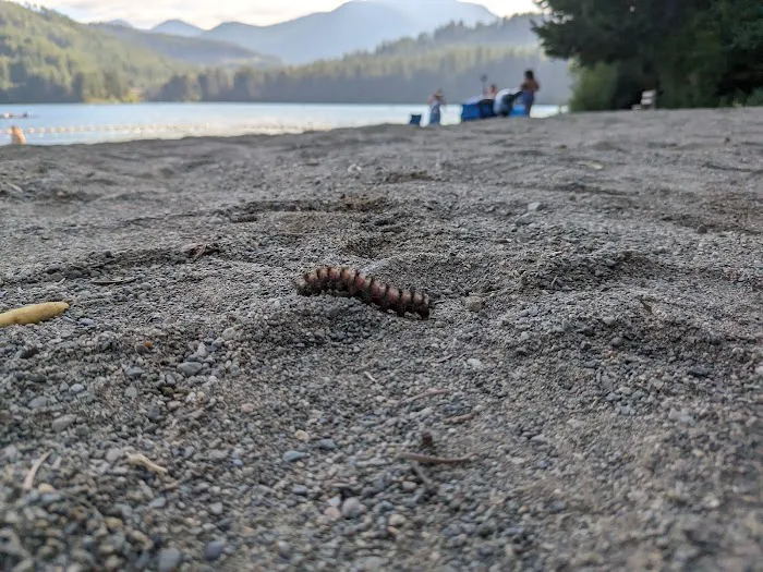 Lake Easton State Park Campground Picture 10