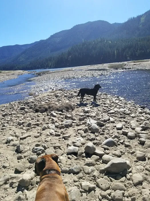 Cle Elum River Group Site Picture 6