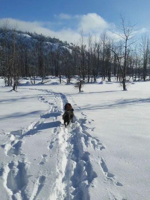 Cle Elum River Group Site Picture 7