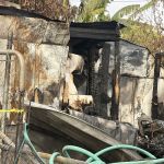 Orange Grove Mobile Home Park