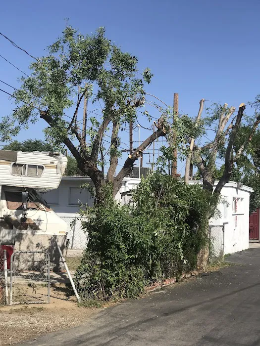 Orange Grove Mobile Home Park Picture 2