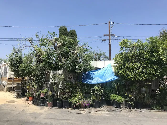 Orange Grove Mobile Home Park Picture 6