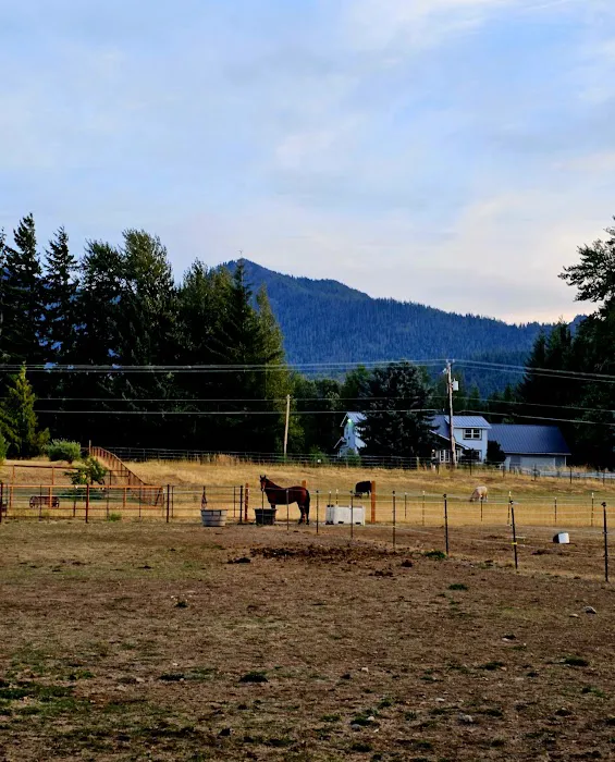 Cle Elum River Campground Picture 2