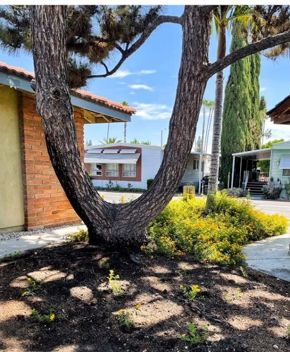 Riviera Mobile Estates Picture 1