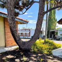 Riviera Mobile Estates ico