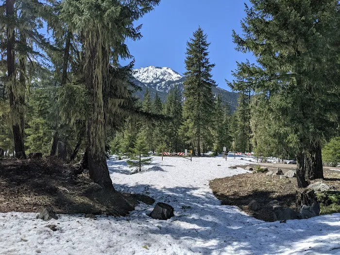 Salmon La Sac Campground Picture 3