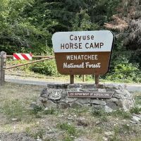 Cayuse Horse Camp ico