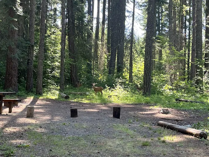 Wish Poosh Campground Picture 3