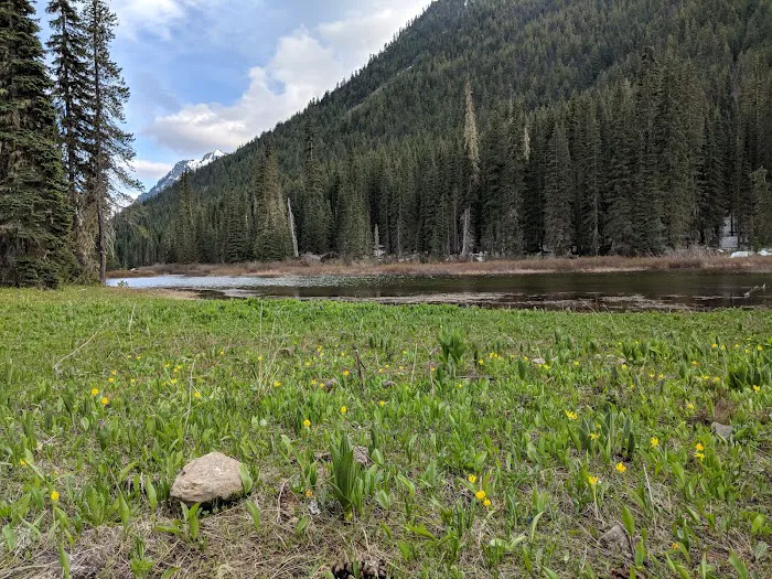Fish Lake Campground Picture 2