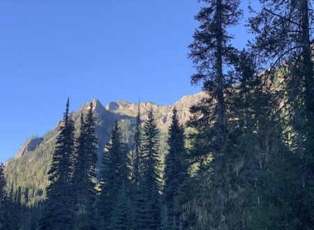Scatter Creek Campground