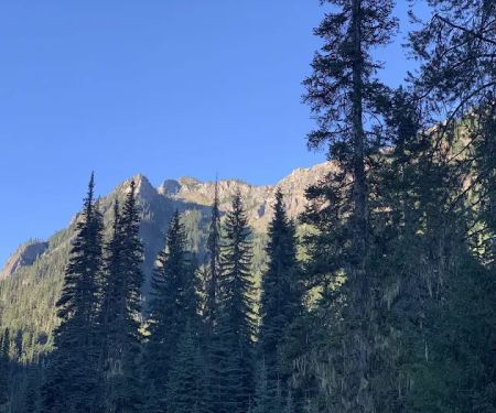 Scatter Creek Campground