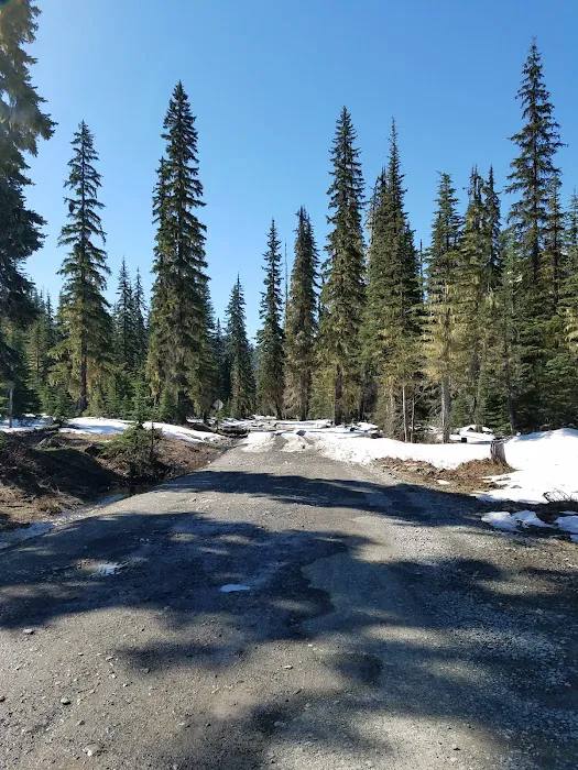 Scatter Creek Campground Picture 4