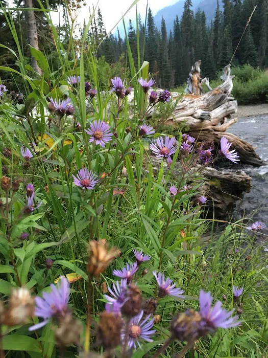 Scatter Creek Campground Picture 7