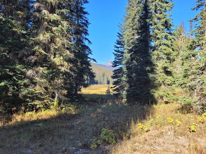 Scatter Creek Campground Picture 6