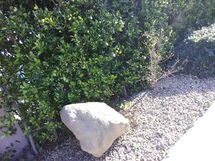 Valle Verde Mobile Home Park Picture 5