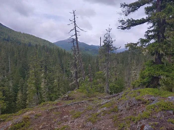 Lake Creek Campground - Little Wenatchee River Picture 1