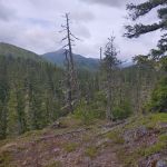 Lake Creek Campground - Little Wenatchee River