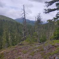 Lake Creek Campground - Little Wenatchee River ico