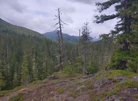 Lake Creek Campground - Little Wenatchee River