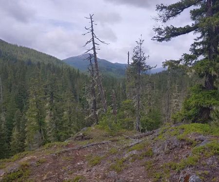 Lake Creek Campground - Little Wenatchee River