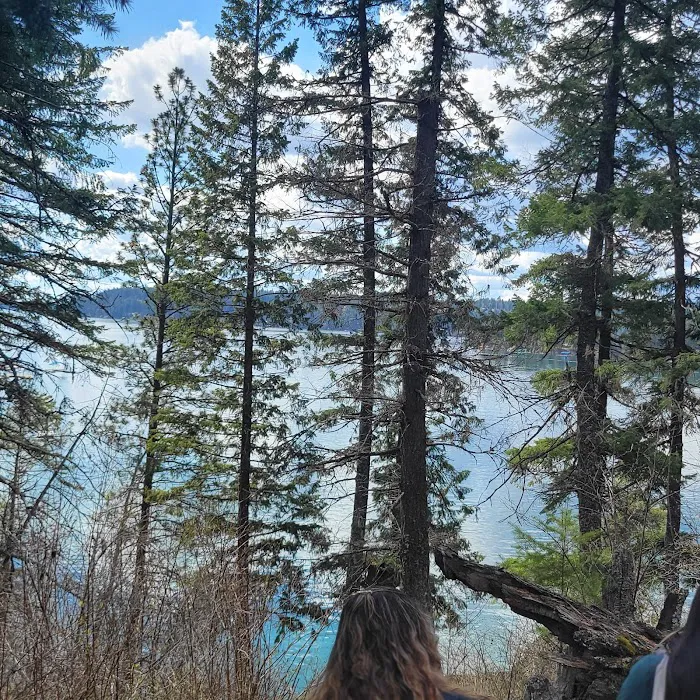 Lake Creek Campground - Little Wenatchee River Picture 3