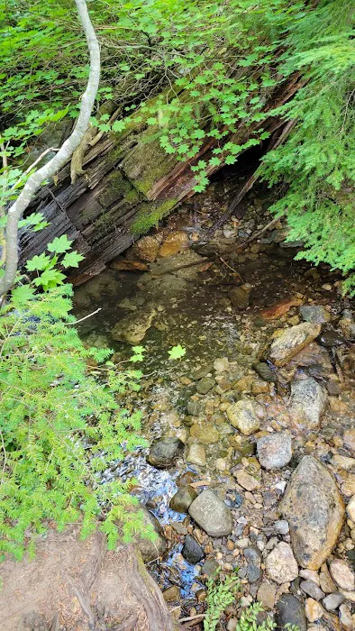 Lake Creek Campground - Little Wenatchee River Picture 5