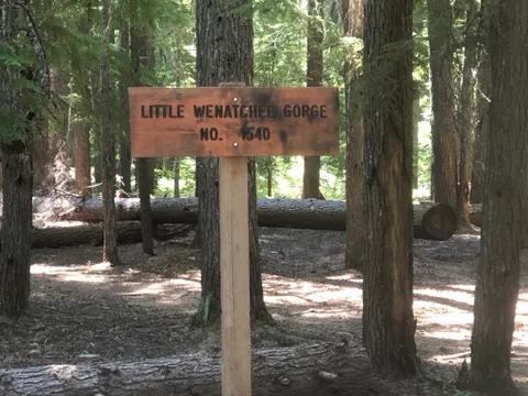 Lake Creek Campground - Little Wenatchee River Picture 8