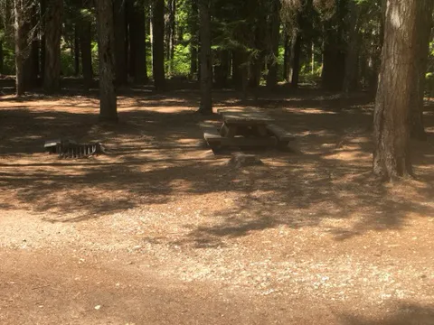 Lake Creek Campground - Little Wenatchee River Picture 7