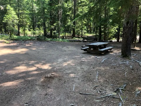 Lake Creek Campground - Little Wenatchee River Picture 9