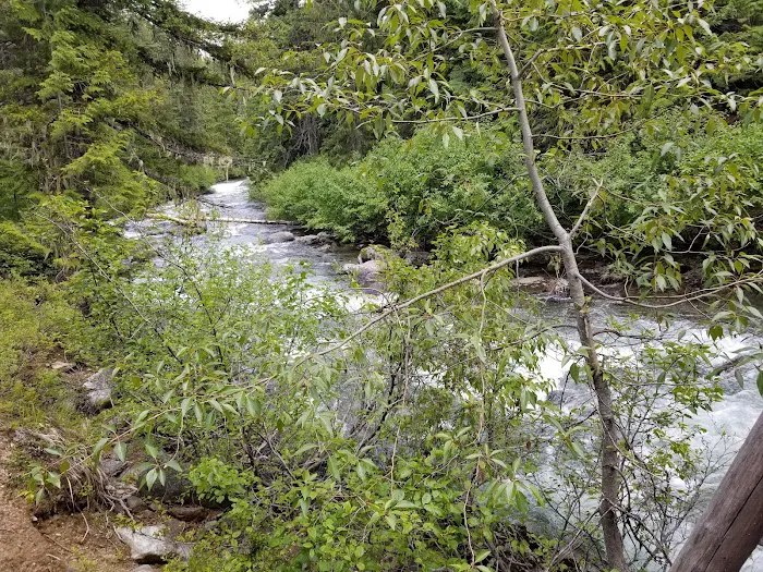 French Creek Campground Picture 3
