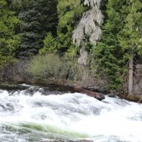 French Creek Campground ico