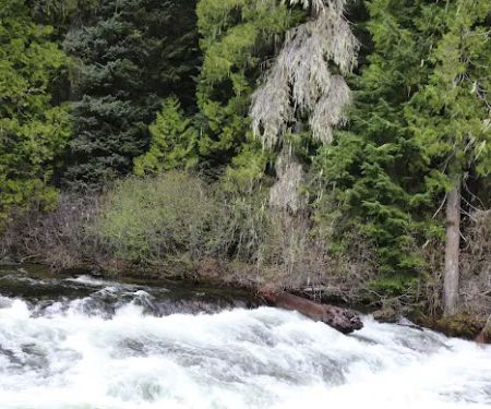 French Creek Campground
