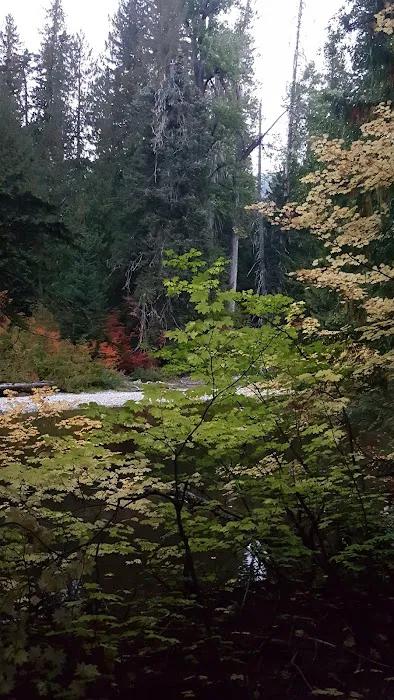 Rainy Creek Campground Picture 4