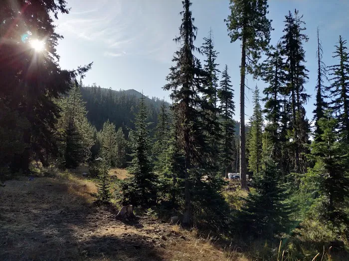 De Roux Campground Picture 3