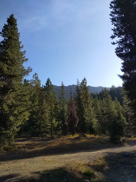 De Roux Campground Picture 2