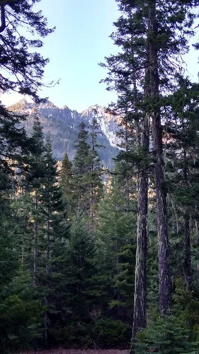 Blackpine Horse Camp Picture 2