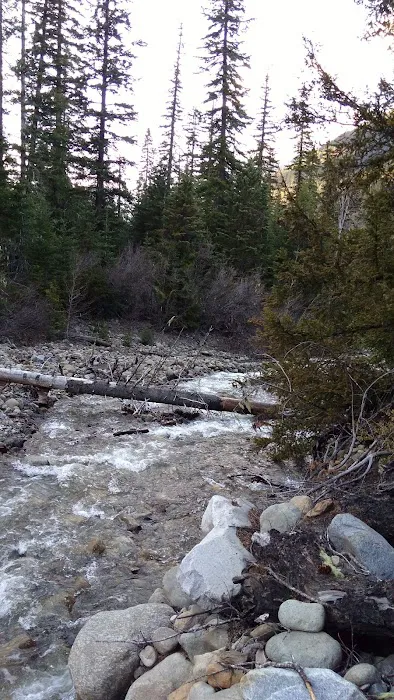 Blackpine Horse Camp Picture 3