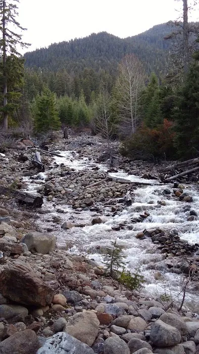 Blackpine Horse Camp Picture 5