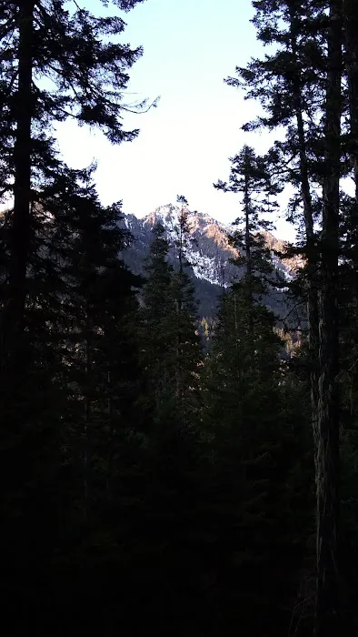 Blackpine Horse Camp Picture 4