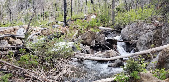 Eightmile Lake Campground Picture 6