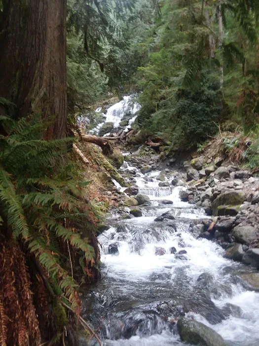 Chocwich Campground Picture 2