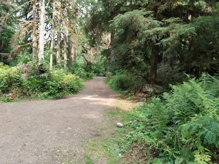 Chocwich Campground Picture 3